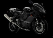 Triumph Daytona 955i Triumph Daytona 955i